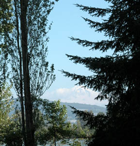 Mt. Baker in the distance